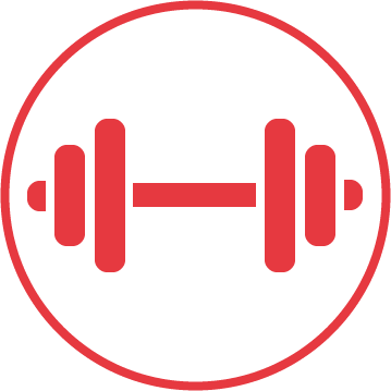 Treino